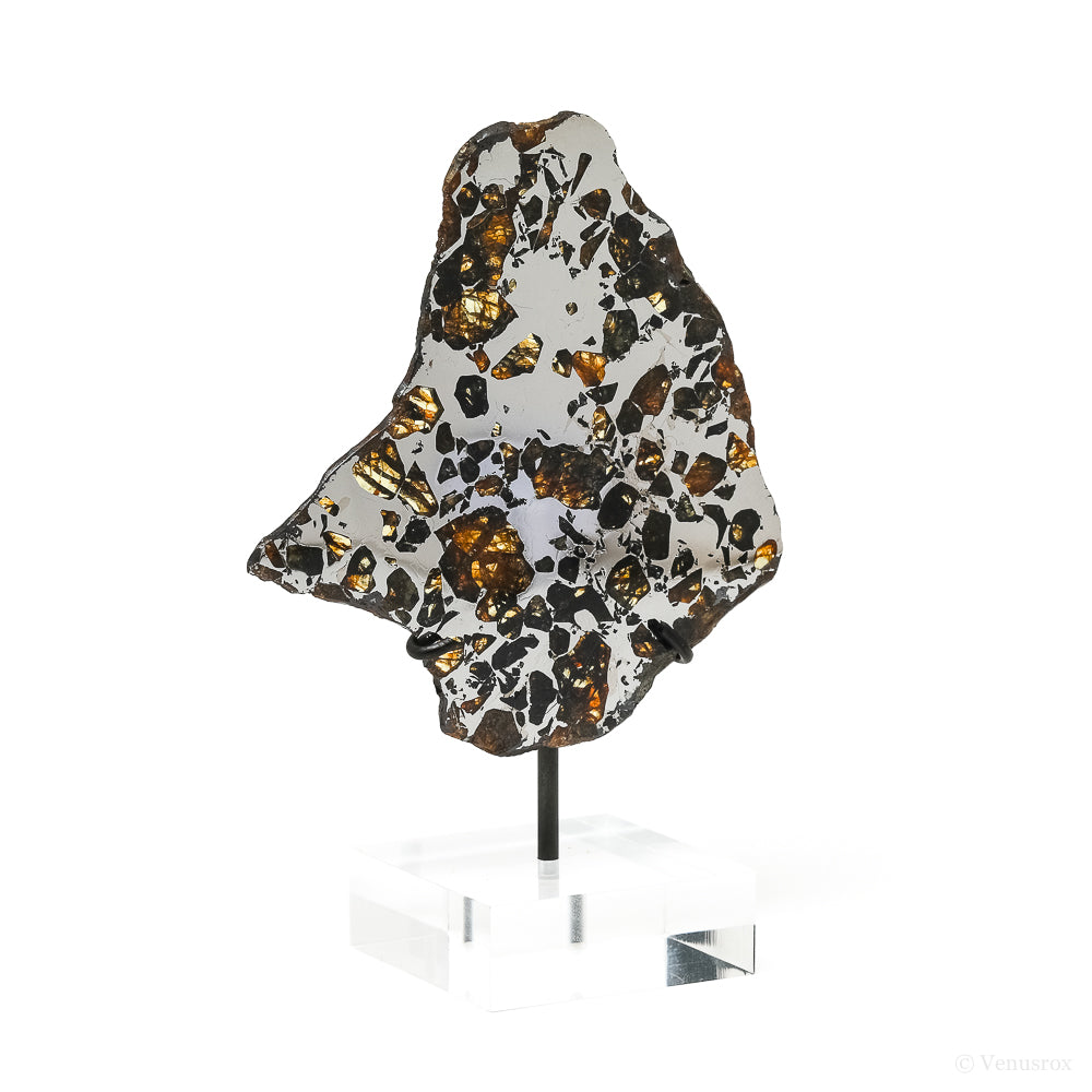 Seymchan Pallasite Meteorite Polished Slice from the Hekandue River, Jasačnaja, Magadan District, Russia mounted on a bespoke stand | Venusrox