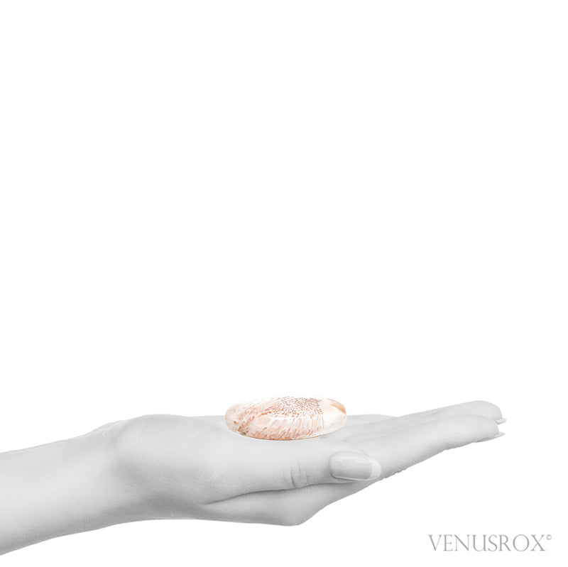 Size Illustration | Pink Scolecite Polished Crystal from India | Venusrox