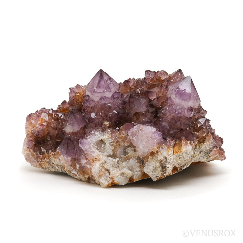 Amethyst Spirit Quartz Natural Cluster from Mpumalanga, South Africa | Venusrox