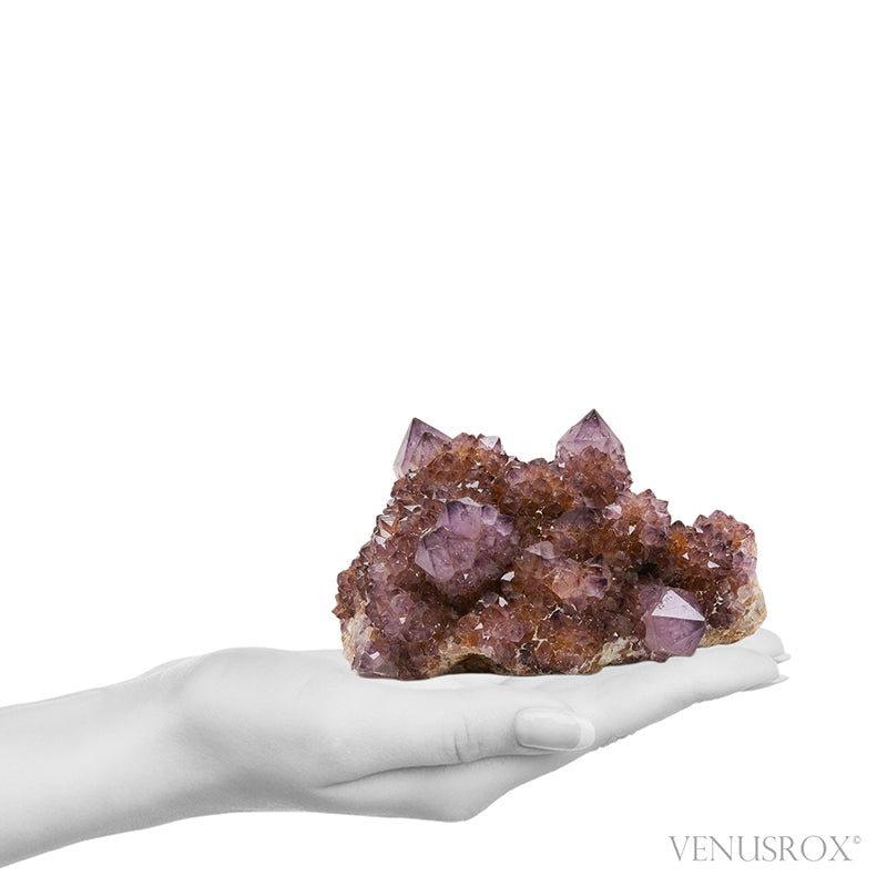 Amethyst Spirit Quartz Natural Cluster from Mpumalanga, South Africa | Venusrox