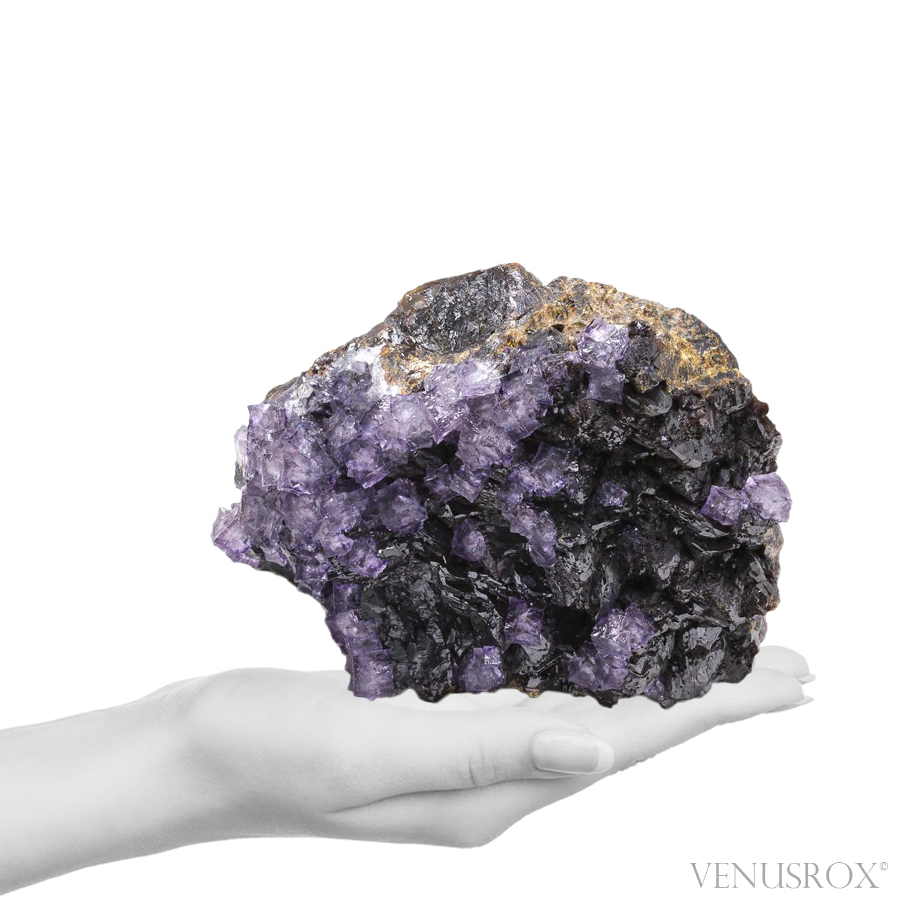 Starburst Fluorite on Sphalerite Natural Cluster from the Elmwood Mine, Tennessee, USA | Venusrox