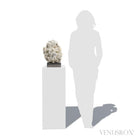 Clear Quartz with Dolomite and Pyrite Natural Cluster from Kosovo mounted on a bespoke stand | Venusrox