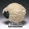 Fluorite on Barite Natural Crystal from the Elmwood Mine, Tennessee, USA | Venusrox