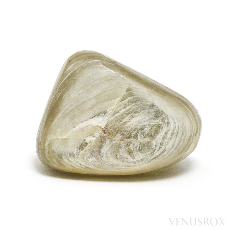 Muscovite Polished Crystal from Brazil | Venusrox