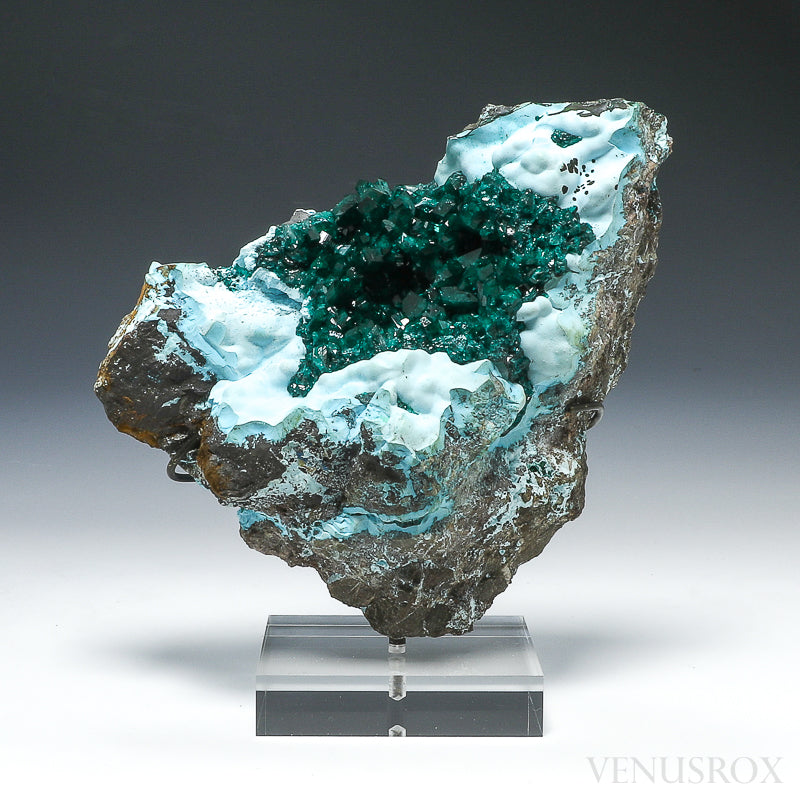 Dioptase with Chrysocolla on Matrix Natural Cluster from Renéville, Kindanba District, Pool Department, Demacratic Republic of the Congo mounted on a bespoke stand | Venusrox