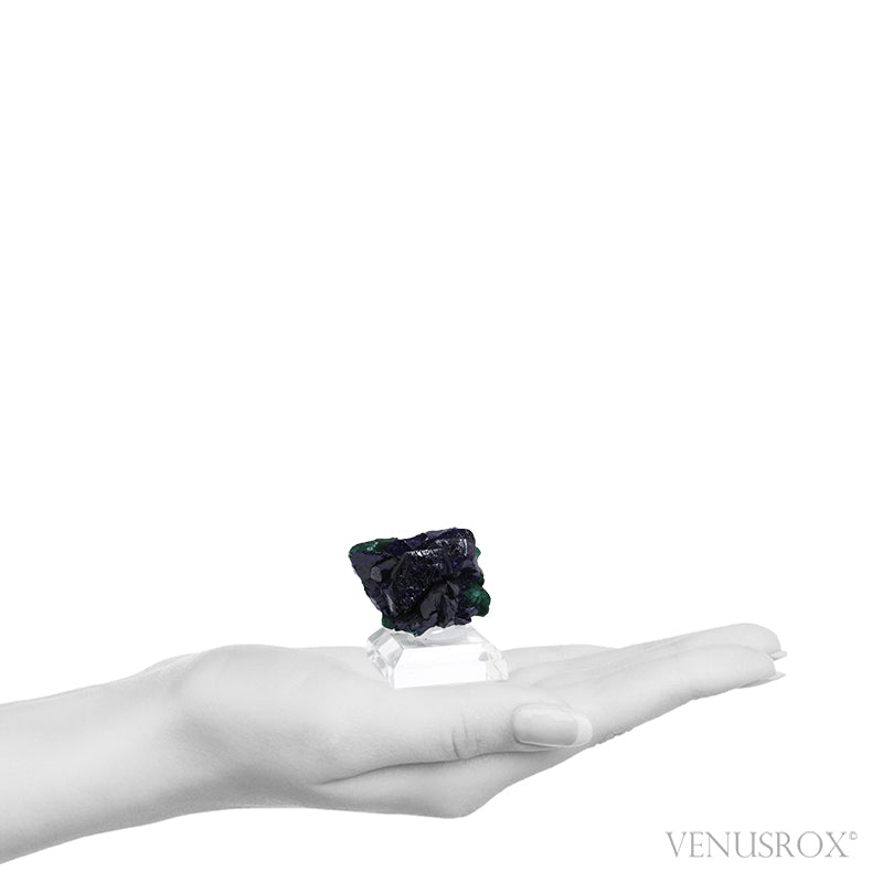 Azurite and Malachite Natural Crystal from the Millpillas Mine, Milpillas, Sonora, Mexico | Venusrox