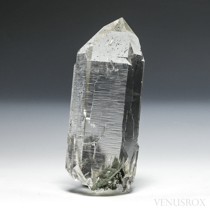 Himalayan Chlorite Quartz with Golden Rutile & Anatase Natural Cathedral Point from the Indian Himalayas | Venusrox