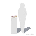 Natural Amethyst Spirit Quartz Cluster from Mpumalanga, South Africa | Venusrox