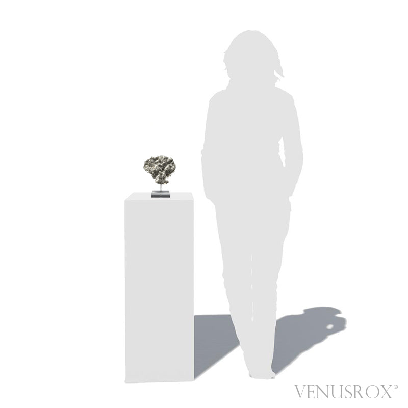 Pyrite on Quartz Natural Cluster from the Cavnic Mine, Cavnic, Maramureș County, Romania, mouted on a bespoke stand | Venusrox