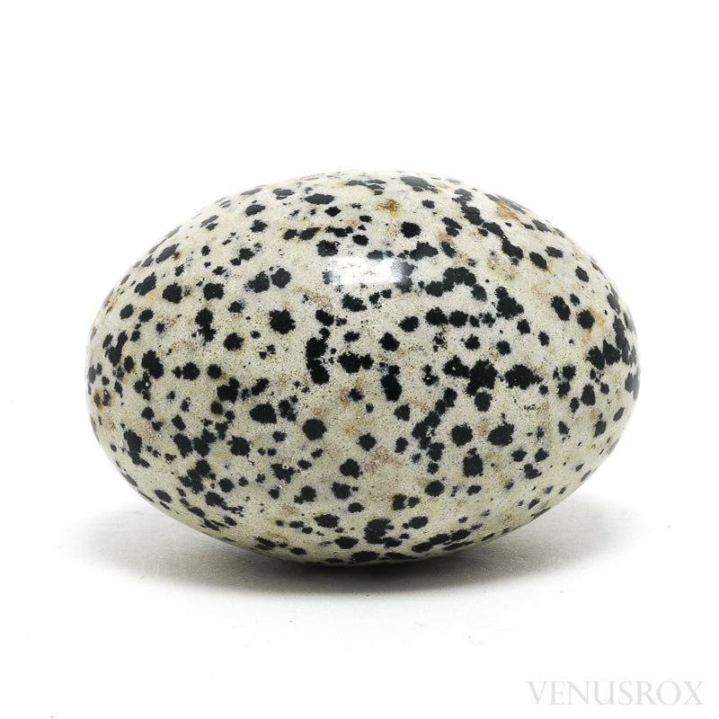 Dalmatian Jasper Polished Crystal from China | Venusrox