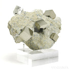 Pyrite Cubes in Matrix from Navajun, La Rioja, Spain mounted on a bespoke stand | Venusrox