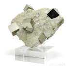 Pyrite Cubes in Matrix from Navajun, La Rioja, Spain mounted on a bespoke stand | Venusrox