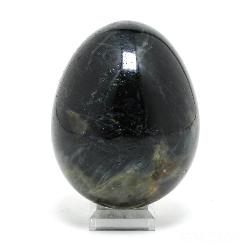 Blue Sapphire Polished Egg from Madagascar | Venusrox