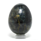 Blue Sapphire Polished Egg from Madagascar | Venusrox