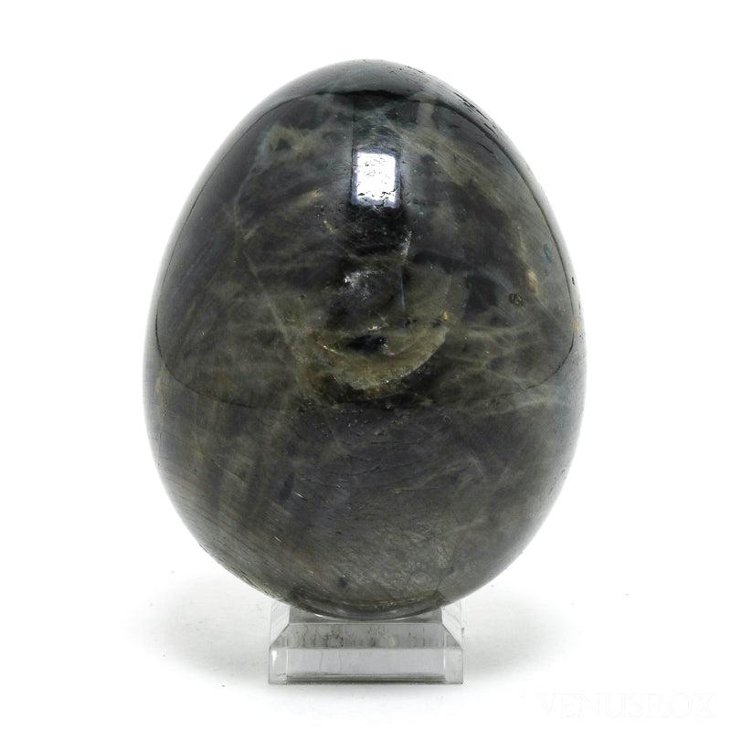 Blue Sapphire Polished Egg from Madagascar | Venusrox