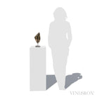 Smoky Quartz Natural Crystal from Brazil mounted on a bespoke stand | Venusrox