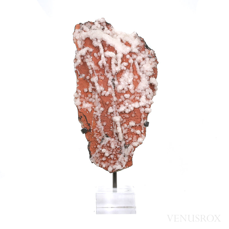 Calcite on Matrix Natural Cluster from Trepča, Kosovo | Venusrox
