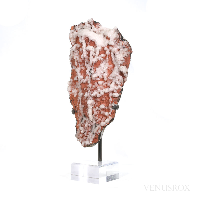 Calcite on Matrix Natural Cluster from Trepča, Kosovo | Venusrox