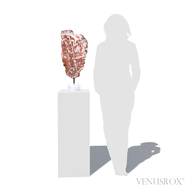 Calcite on Matrix Natural Cluster from Trepča, Kosovo | Venusrox