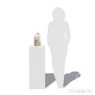 Smoky Quartz Part Polished/Part Natural Point from Brazil | Venusrox