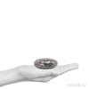 Size Illustration | Ruby in Rhyolite Polished Crystal from India | Venusrox